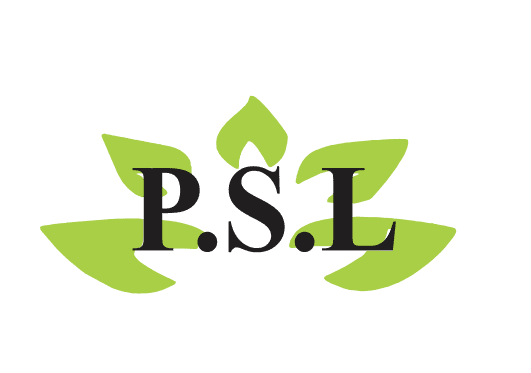 Strategic Solutions Consultancy Abuja – Nigeria