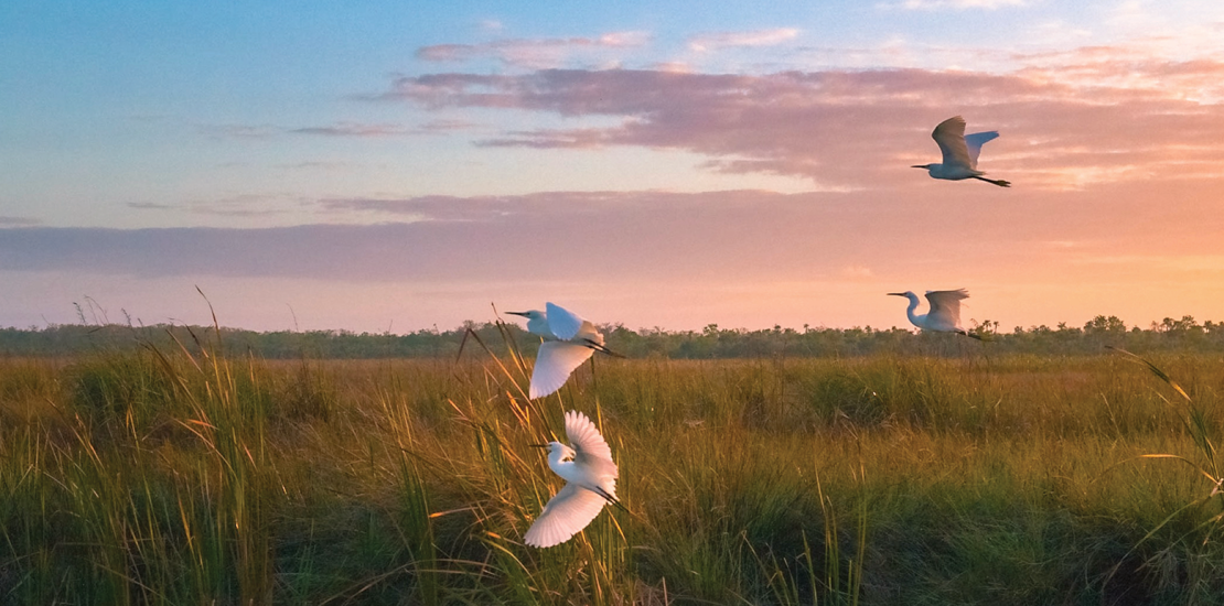 pharmaceutical waste management environmental compliance